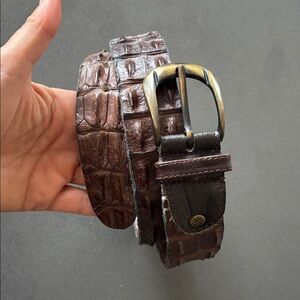 True Crocodile Belt with Brass Buckle